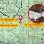 泰国交通部长反对修改连接三大机场高铁合同