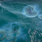 标普：泰国联盟政府稳定性将决定信用前景