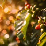 泰国推出“三轨战略”应对特朗普关税威胁