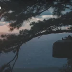 韩国无吊唁葬礼兴起，传统习俗面临转型