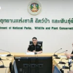 2月14日起泰国银行应用将停止支持旧智能手机 2026年最低系统要求公布