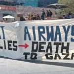 纳姆洪椰子价格下跌 商务部长下令采取紧急措施