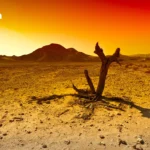 美国佛教僧侣2300英里和平徒步抵达华盛顿