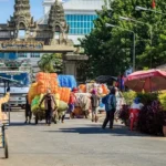 皮塔在2026年大选投票后返回美国