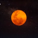 泰国应对特朗普关税 加速推进美贸谈判及自贸协定