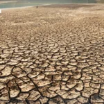 泰国财政部排除重启电子收据刺激政策：经济外流与不平等成主因