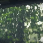 Yodchanan宣布参选泰国第33任总理 承诺实现国家繁荣