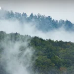 日美首阶段投资协议仍未敲定 差距依然存在