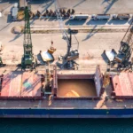 选举委员会认证396名选区议员 证书将于2月26日起发放