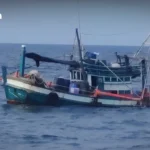 泰国企业家普迪否认将出任新政府能源部长