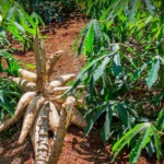 全球城市开始禁止高碳广告以减少排放