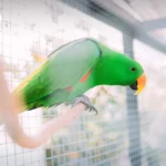 Sansiri稳扎稳打，收紧流动性管控以应对经济风暴