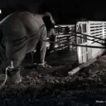 泰国房地产商呼吁激进土地改革拯救住房市场