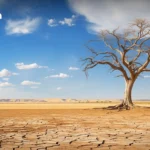 泰国启动经济外交战略应对‘再全球化’，外长表示