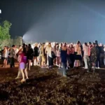 泰国国家公园办公室呼吁世界鲸鱼日恢复海洋生态