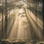 50.31%受访者对条形码问题不担忧：NIDA民调显示大选或无效