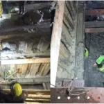 泰国多地气温上升1-2°C 南部季风雨持续