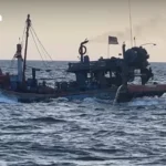 泰国清迈多地连日遭遇暴风雨 逾470户居民受影响