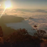 日本家庭收入增长仍增加储蓄：政府报告指出通胀压力与消费疲软