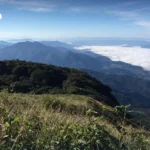 泰国南邦府2026年情人节暨中国春节旅游活动抢先看