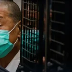 TikTok重塑创作者经济格局 推动社交电商迈向1.2万亿美元新纪元