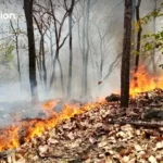 泰国灾害预防局预警60府及曼谷23-25日夏季风暴