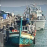 全球大米产量创新高但泰国出口受阻