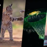 越南愿增加对美采购 关税谈判进入第六轮