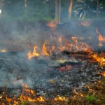 专家警告：热指数而非气温是泰国中暑风险主因