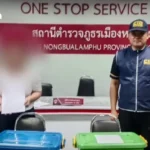 2026年六大社交媒体趋势重塑商业未来