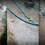 泰国国家公园局加强全国14个森林群组火情防控 设3000个监测点