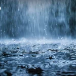 拉加德或提前离任欧洲央行 为确保马克龙影响继任者