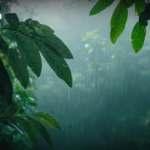 黄金价格暴跌至5000美元/盎司以下 美国强劲就业数据引发担忧