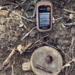 欧洲盟国称纳瓦尔尼遭毒箭蛙毒素毒害 俄罗斯驳斥指控