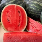 泰国气象部门：明日北部高温降雨趋缓，南部仍现雷雨及风浪