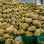 泰国证交所因SET指数暴跌8.01%触发熔断机制