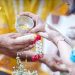 国际研究：80 年间全球鸟类平均体重锐减 72%，大型物种消失引生态与文化危机