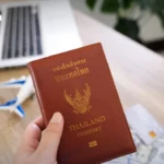 越南推进稻米产业转型，瞄准高价值低碳全球市场