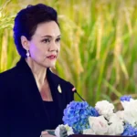 2026年大选投票率达71.42%，超3500万有效票