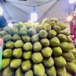 特朗普担忧伊朗新领导人或同样危险