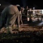 泰军方称边境维持“谁占守即留原地”原则 回应宋干节后与柬方领土谈判传闻