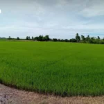 泰国气象局发布预警：全国 42 府将遭雷雨与强风袭击，曼谷及周边亦受影响