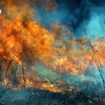 NASA 筹备阿尔忒弥斯二号机组：开启自 1972 年以来首次载人登月之旅