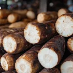 泰经社署长：完整政府至关重要 加速预算进程应对外部风险