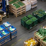 泰国若能源危机升至三级拟实施燃油配给计划