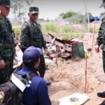 印尼有望结束欧盟对棕榈油的歧视性规则 WTO截止期限已过