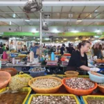 泰国皇家灌溉局进入警戒状态 应对北部夏季风暴