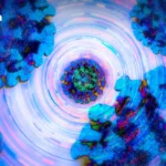 国际奥委会宣布 2028 洛杉矶奥运会起禁跨性别女性及 DSD 运动员参加女子项目