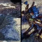 Tomorrowland CEO宣布选择泰国作为亚洲首个中心