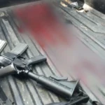 合作促进厅推动建立“中央采购中心”应对椰子低价问题